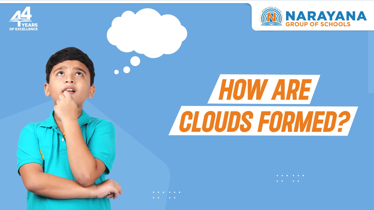 Phenomena Explained How are Clouds Formed?