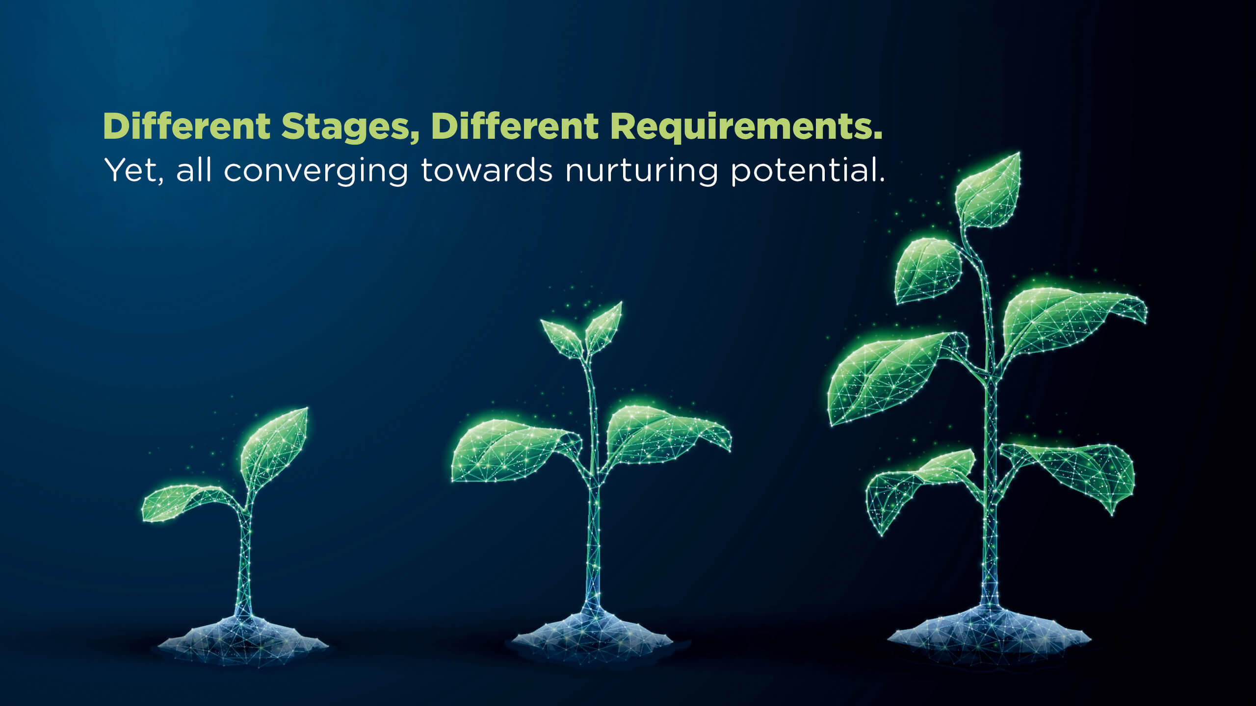 How Our Age-Appropriate Programmes Support Every Stage of a Child’s Growth: Narayana Schools’ eKidz to eTechno