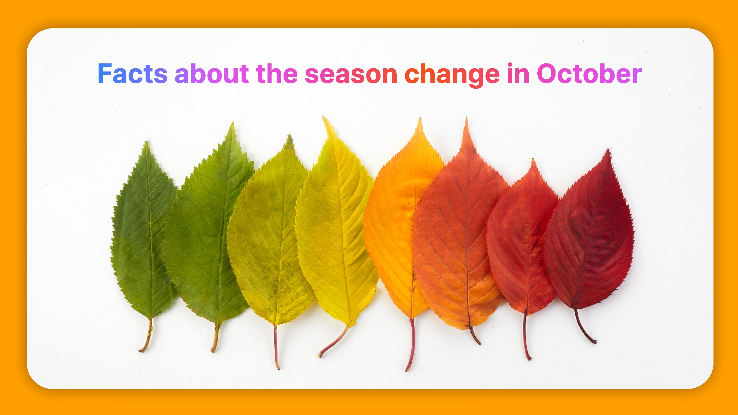 6 Things You Need to Know About the Season Change in October